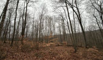 TBD1 E Willow Rd, Bloomfield, IN 47424