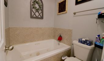246 Plum Dr, Austin, AR 72007