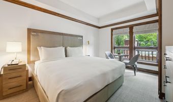 415 E Dean St Unit 10 Weeks 51 + 52, Aspen, CO 81611