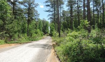 Lot 50 Shoreside Road, Double Springs, AL 35553