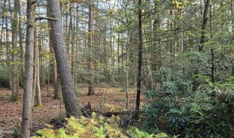 C830 & C83 Lakeside Lane, Albrightsville, PA 18210