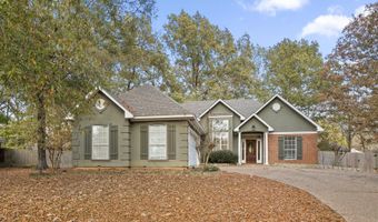 537 Greenhead Cir, Brandon, MS 39047