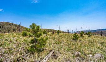 2384 Rist Creek Rd, Bellvue, CO 80512