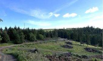 NW LODGE Rd, Banks, OR 97106