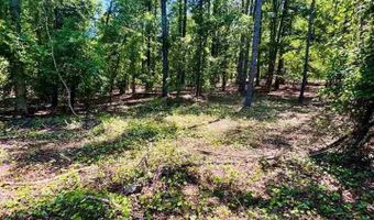 Grants Mill Rd W, Bennettsville, SC 29512