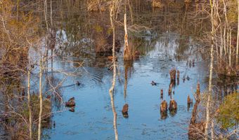 001 Old Stage Rd, Atmore, AL 36502