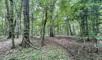 Pine Lodge Road, Batesville, MS 38606