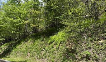 4 Fox Pointe Dr, Banner Elk, NC 28604