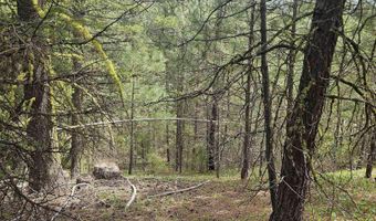 59 Price Loop, Cascade, ID 83611