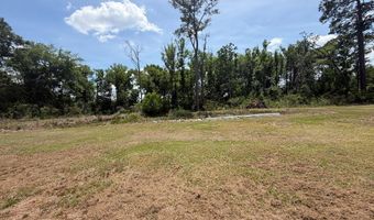 954 NE Robinson Rd - Tract #1, Barney, GA 31625