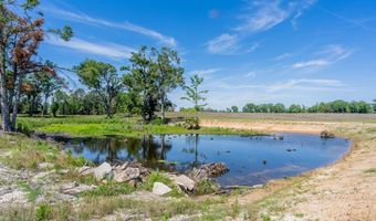 Chad Lake Rd, Alma, GA 31510