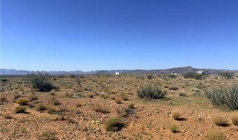 Palo Verde Drive, Chloride, AZ 86431