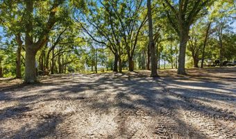 4506 10th St, Bell, FL 32619