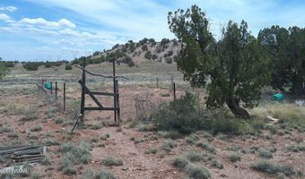 98 N9222, Concho, AZ 85924