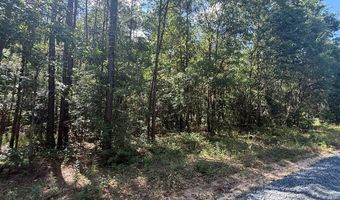 Appian Way, Baconton, GA 31716