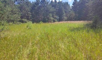 Lot 114 County Road Z, Arkdale, WI 54613