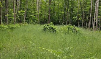 0000 280th Pl, Aitkin, MN 56431