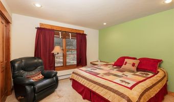 522 COUNTY ROAD 4, Alma, CO 80420
