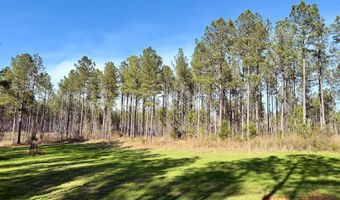 Highway 28, Abbeville, SC 29620