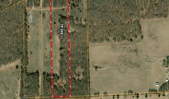 Tbd Dude Lane, Millsap, TX 76066