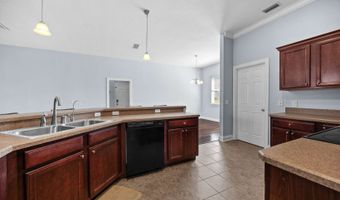 16609 NW 166TH Dr, Alachua, FL 32615