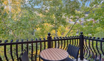 415 E Dean St. Unit 31 Week 11, Aspen, CO 81611