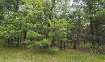 S Badger Lane lot 38, Arkdale, WI 54613