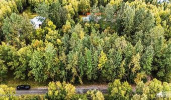 Lot 102 Nw Loc Sault Avenue, Anchorage, AK 99516