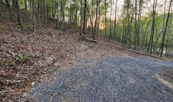 4622 Parker Loop Rd, Birchwood, TN 37308