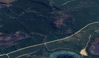 10664 Burton's Ferry Rd, Allendale, SC 29810