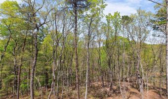394 SETTLERS Rdg, Ball Ground, GA 30107