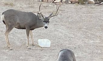 200 Lake Ament Rd, Alpine, TX 79830