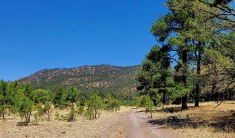 Tbd STONE CREEK RD CR 2117, Alpine, AZ 85920