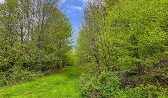 State Route 28 lot # 10, Andes, NY 13731