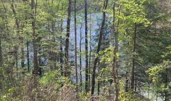 458 COUNTY ROAD 4036 Lot 0, Arley, AL 35541