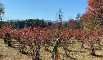 44 Pleasant View Rd, Bradford, NH 03221