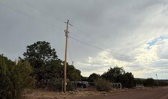 31 County Road 3044, Concho, AZ 85924