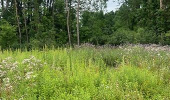6130 Thornapple River Dr SE, Alto, MI 49302