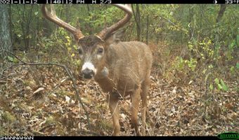 271 18 Acres Zwettler/Foster Rd, Arena, WI 53503