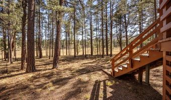 10 County Rd 2271, Alpine, AZ 85920