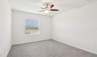 285 MANGROVE SHADE Cir, Apollo Beach, FL 33572
