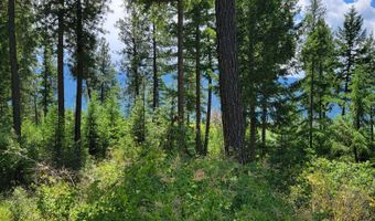 NNA Continental Lane-Parcel 3, Bonners Ferry, ID 83805