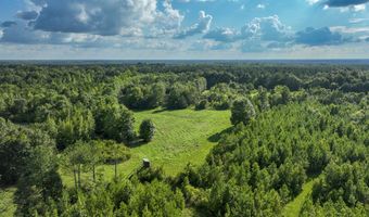 0 Hwy 14, Aliceville, AL 35442