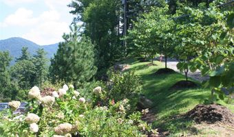 68 Wolfebridge Ln 16, Asheville, NC 28804