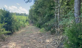 001 Farr Rd, Bolton, MS 39041