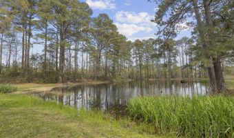 810 N Maple Dr, Braxton, MS 39044