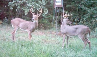 1426 CR 921, Alpena, AR 72611