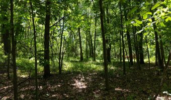 28 Mile Rd, Albion, MI 49224