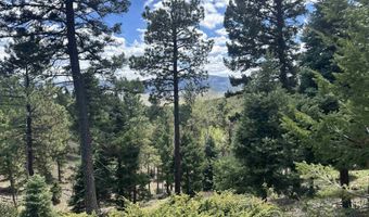 Lot 91ab Pam Coleman Drive, Angel Fire, NM 87710