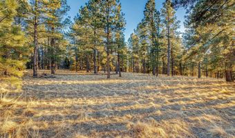 66 Mora Ranch Rd, Angel Fire, NM 87710